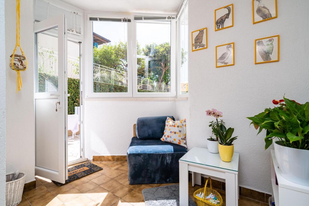 Apartment Fifi دوبروفينك المظهر الخارجي الصورة